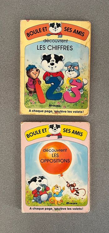 Lot de 2 livres collection Boule et ses amis découvrent éditions Hemma