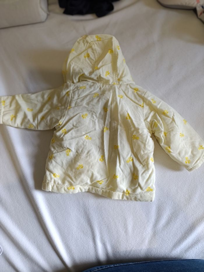 veste automne bébé 9 mois - photo numéro 4
