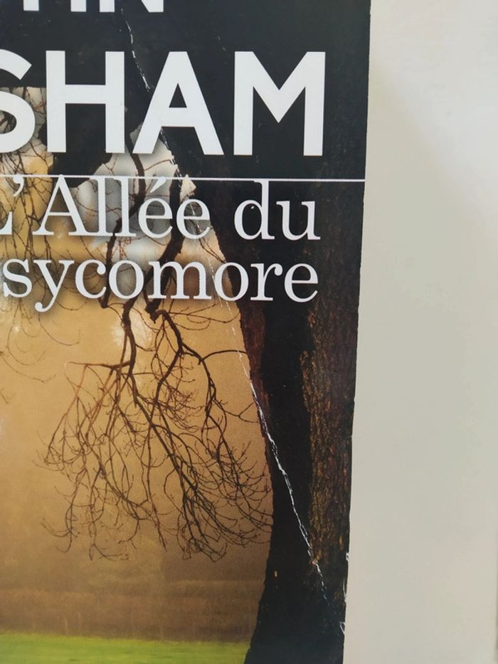 L'allée du Sycomore. - photo numéro 3