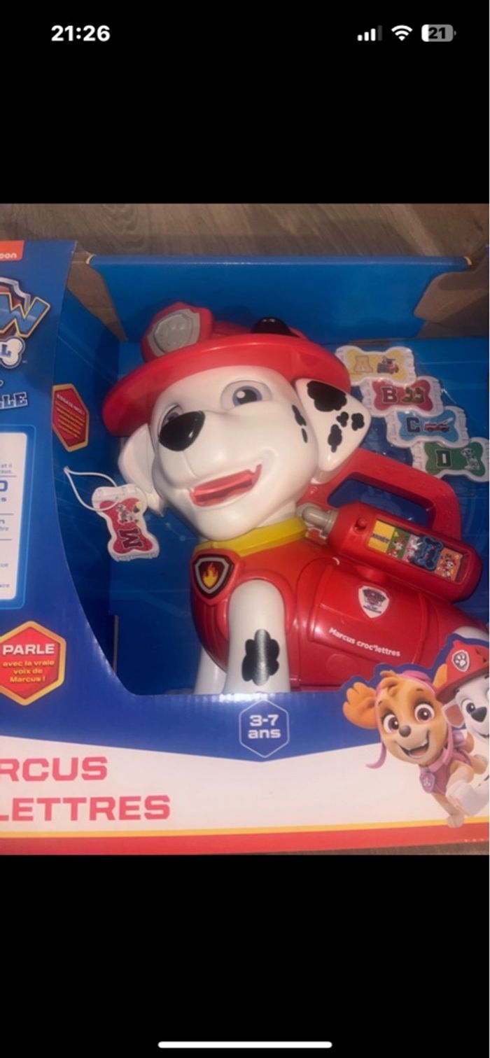 Paw patrol