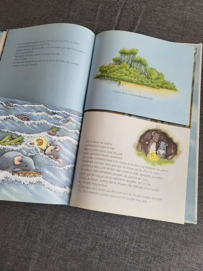 Justine et l'île aux fruits rouges de Marcus Pfister - photo numéro 11