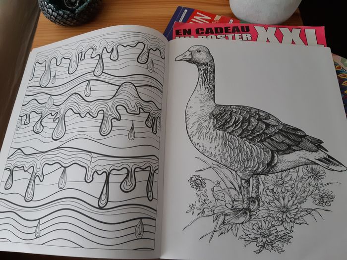 Lots magazines de coloriage - photo numéro 5