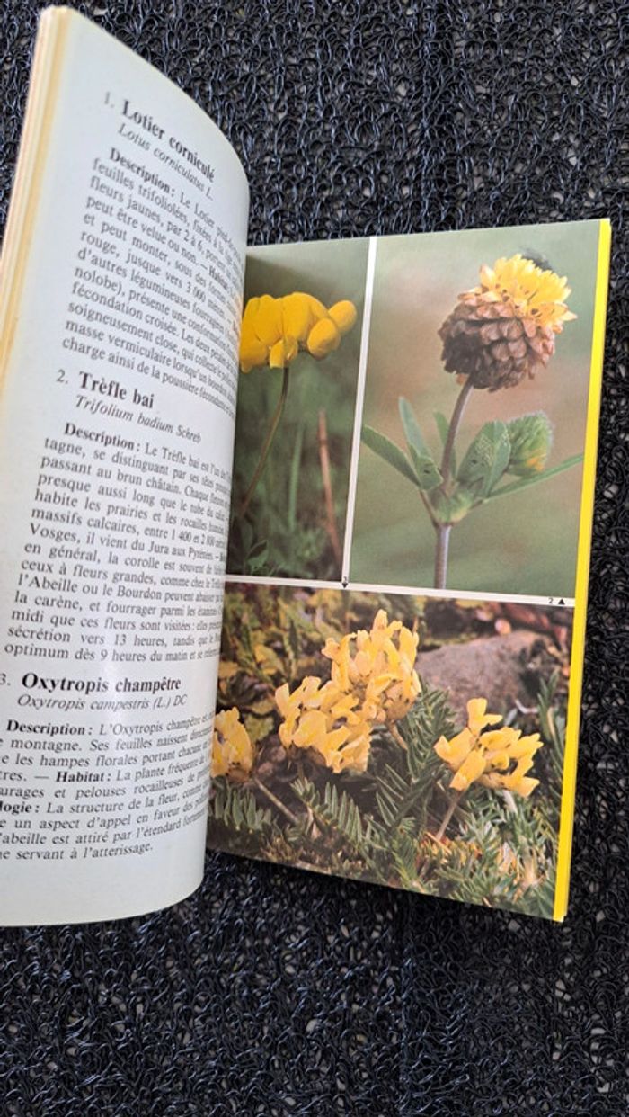 Livre la flore des montagnes - photo numéro 6