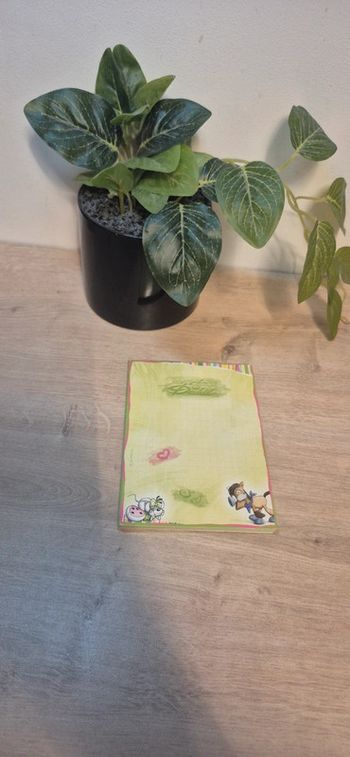 Carnet de feuille diddl