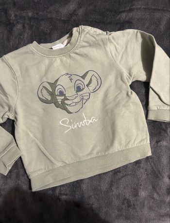 Pull simba 