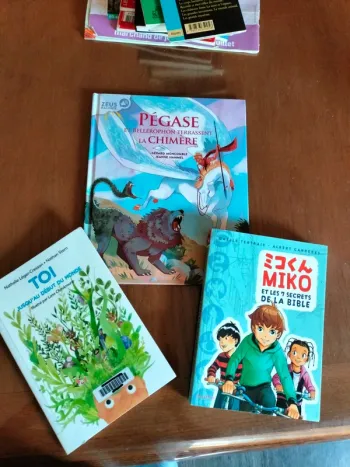2 livres et 1 bande dessinée 7 /10 ans