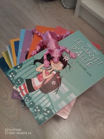 Lot de 10 tomes le carnet d'allié de meg cabot