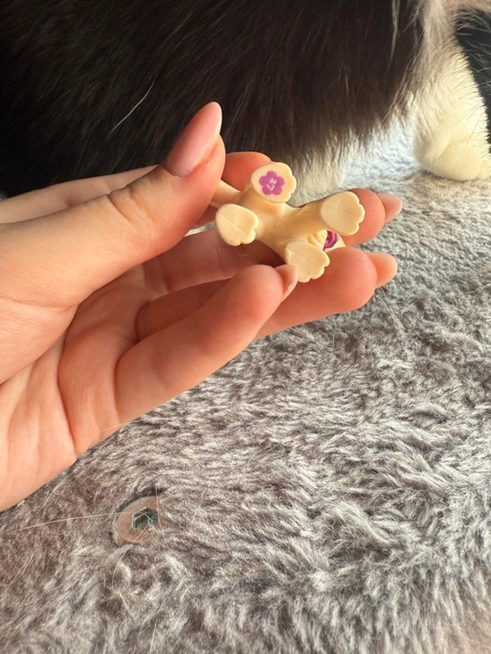 Chien polly pocket - photo numéro 3