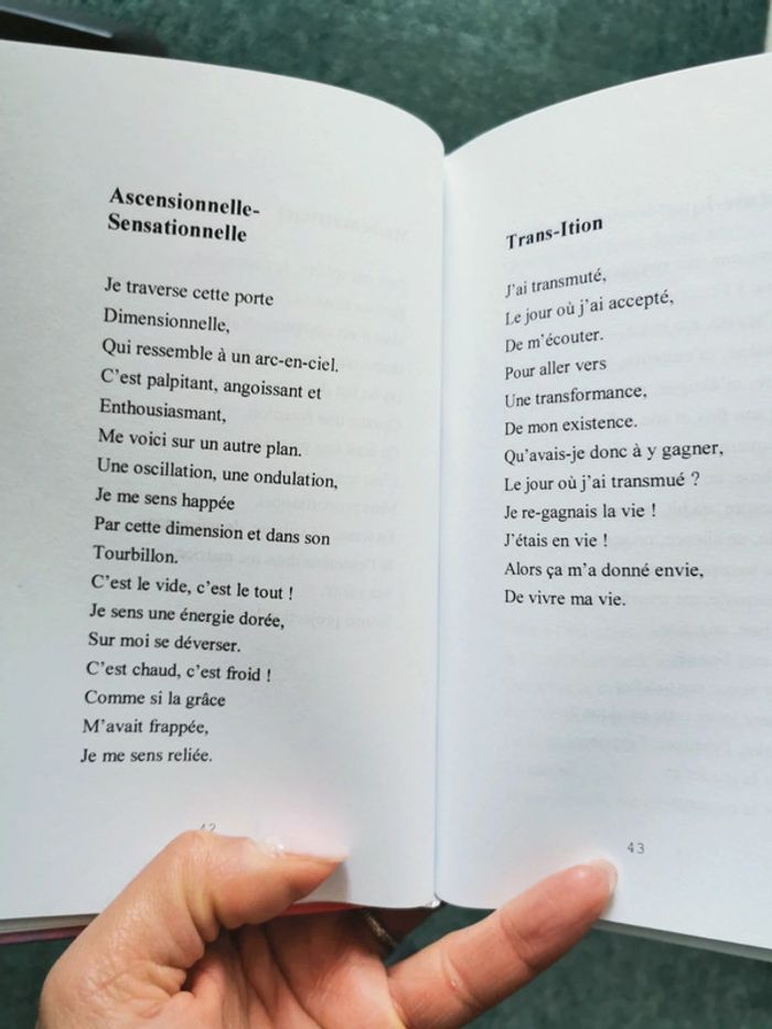 Livre recueil de poèmes Carnet de route - photo numéro 2
