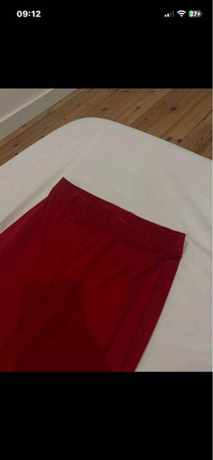 Pâte éléphant xs. - photo numéro 4