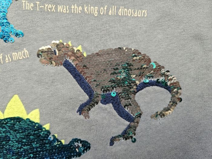 Sweat bleu ciel dinausore H&M 5 ans - photo numéro 8