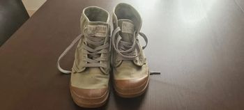 Palladium vert armée