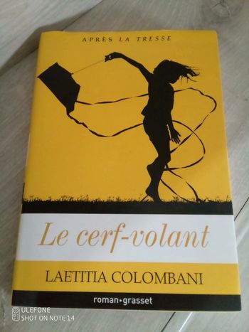 Roman le cerf volant , grand format avec jacquette