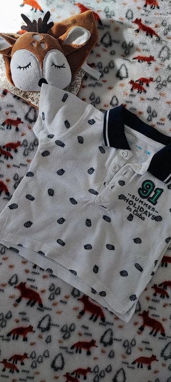 Polo motif