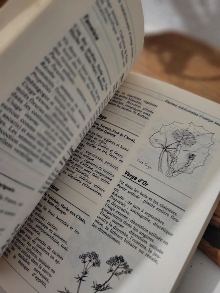 Livre pratique "Mini encyclopédie des médecines naturelles" - photo numéro 7