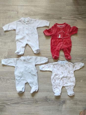 Lot prématuré mixte