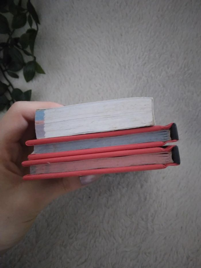 🍁50% sur les lots🍁🌸Lot de 3 livres d'anglais 🌸 - photo numéro 4