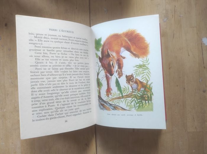 Perri l'écureuil Félix Salten Hachette Idéal-Bibliothèque 1971 - photo numéro 4