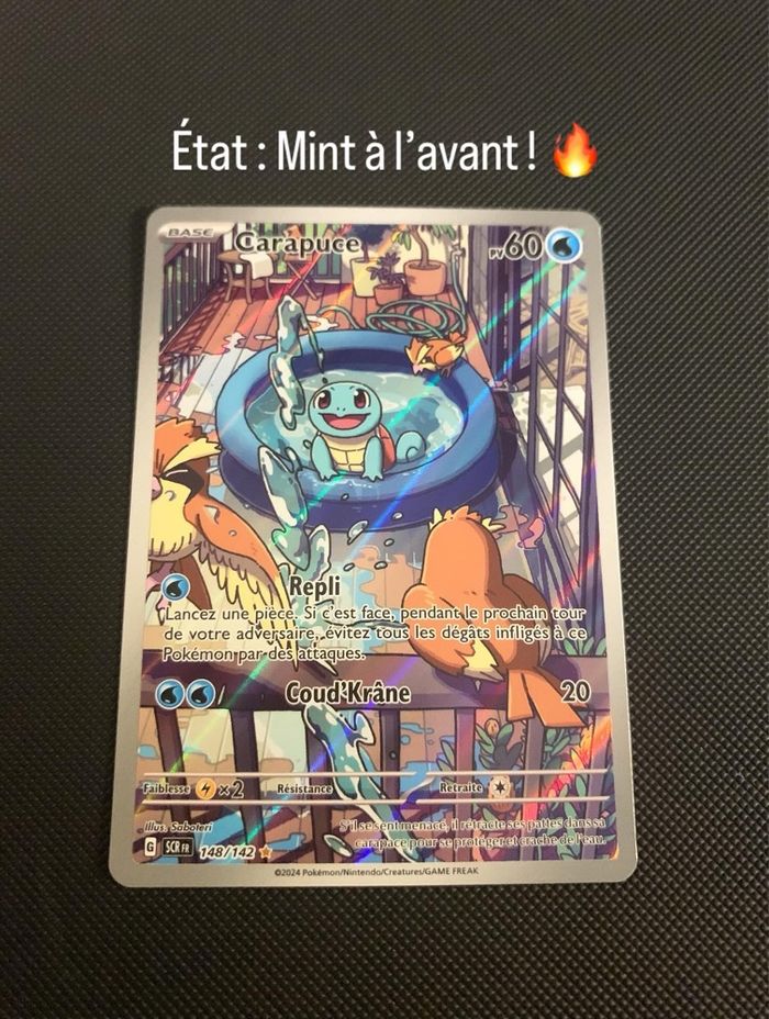 Carapuce AR  SCR 148 - photo numéro 2