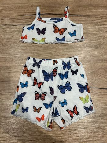 Ensemble papillons 🦋