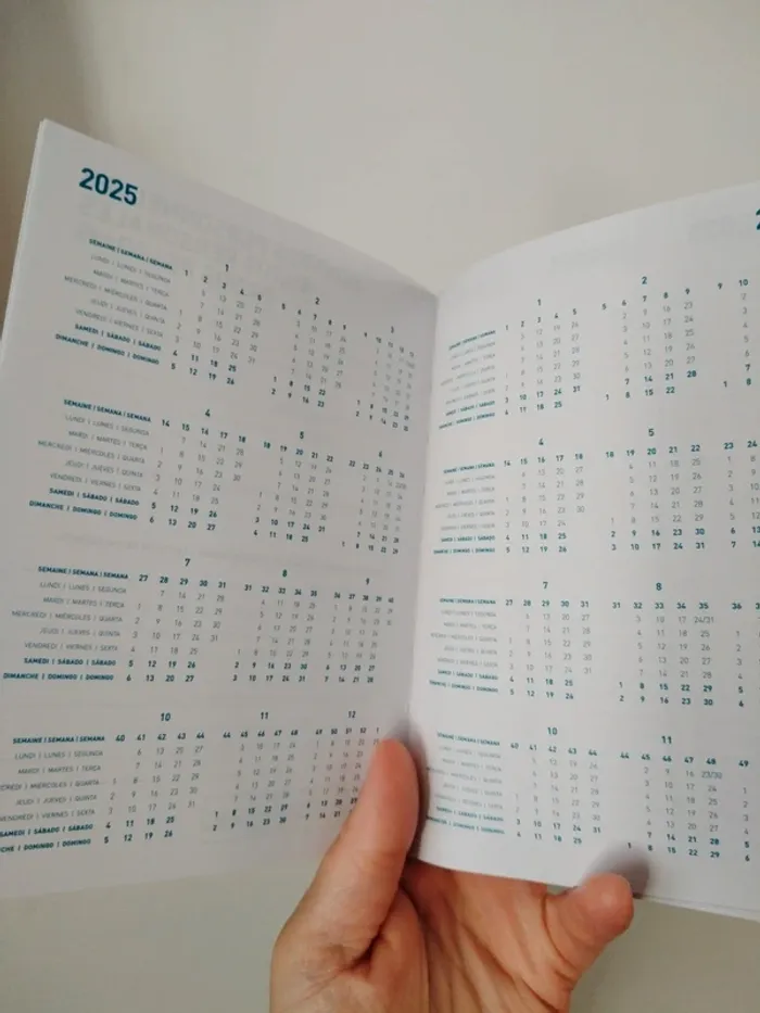 Agenda 2025/2026 chaton - photo numéro 4