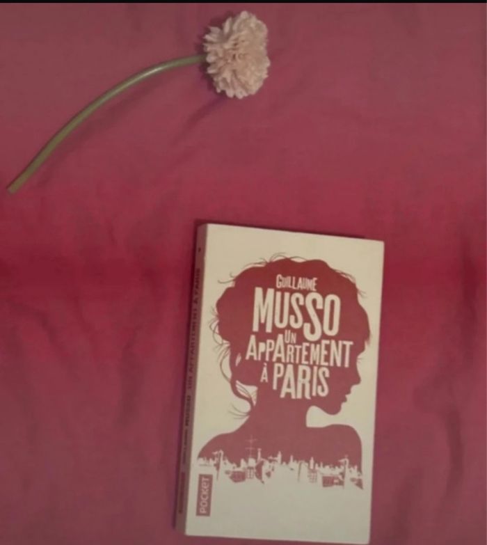 Un appartement à Paris - photo numéro 2