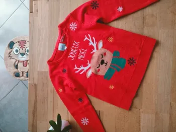 Pull noël