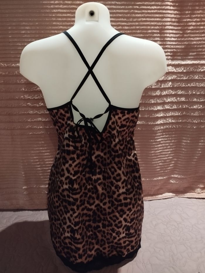 Nuisette Léopard - photo numéro 5