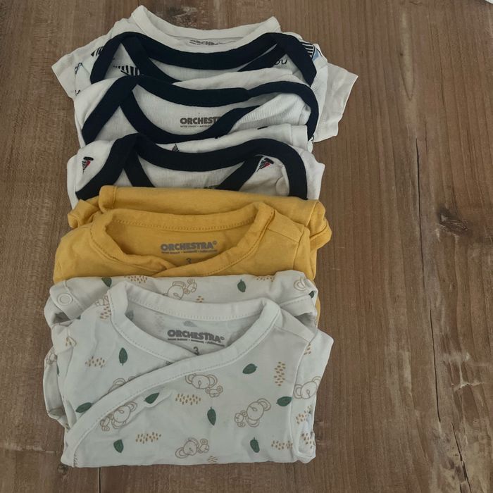 Lot de 6 bodies manche courte