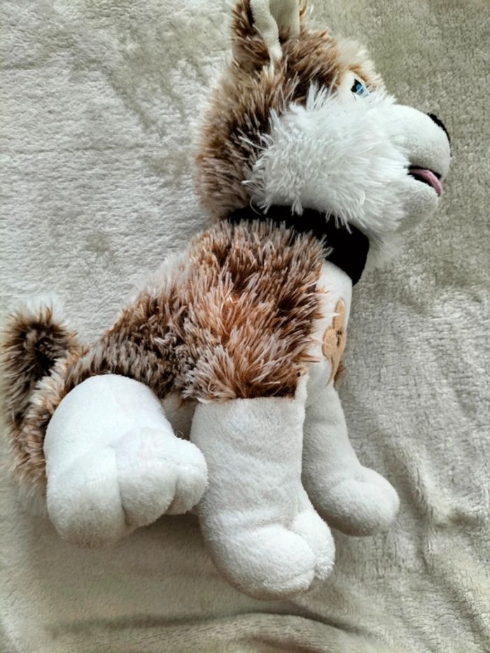 Chien loup  marron et blanc - photo numéro 2