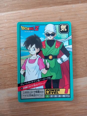 Carte Dragon Ball Z 506