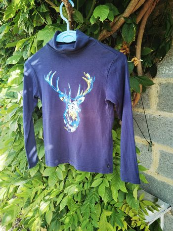 D830-sous pull 10 ans