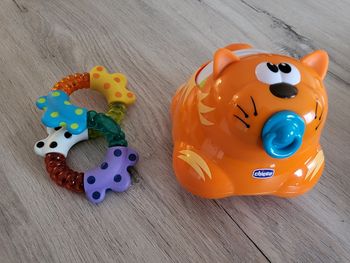 Chat sur roulette + anneau dentition