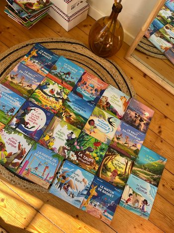 Lot 22 livres enfant Virginie grimaldi