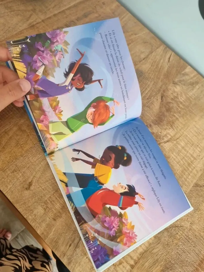 Livre enfant le pic du midi d'ossau - photo numéro 4