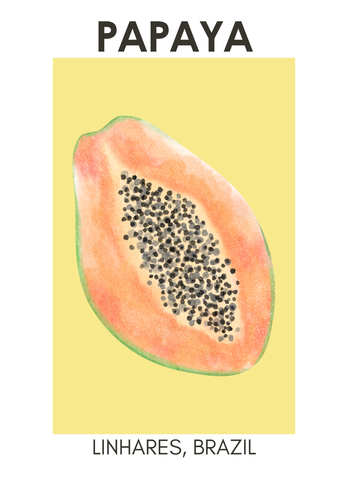 Lot de 3 affiches à encadrer - photo numéro 3