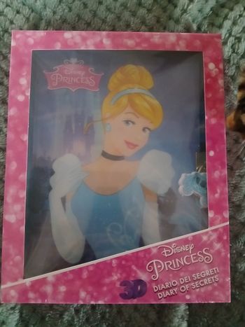 Journal secret cendrillon