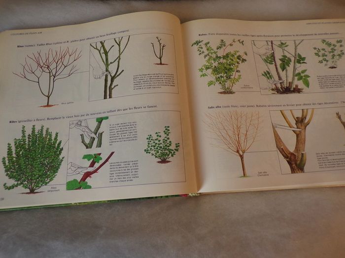 Livresavoir tout faire au jardin Sélection du Readers Digest - photo numéro 3