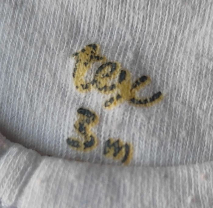 Lot de bodies ML fille taille 3 mois - photo numéro 16