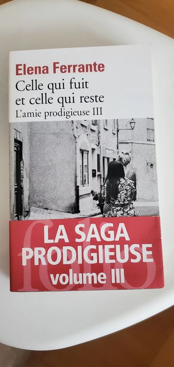 Livre celle qui fuit et celle qui reste