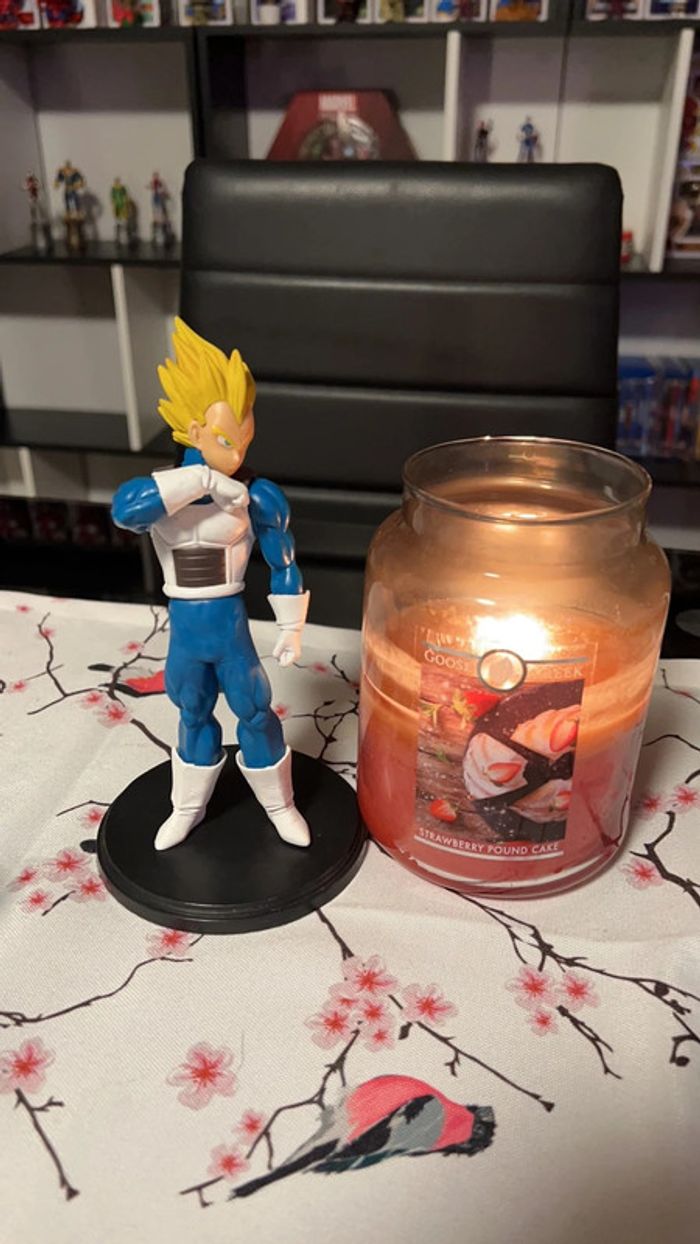 Figurne végéta - photo numéro 5