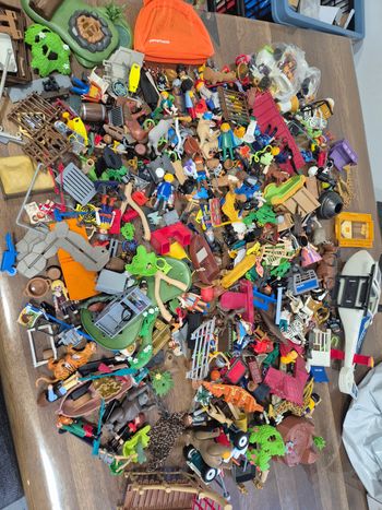 Gros lot de playmobil
