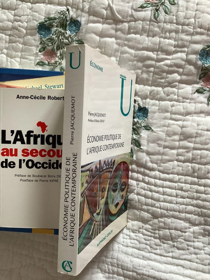 Économie politique de l’Afrique contemporaine - photo numéro 9