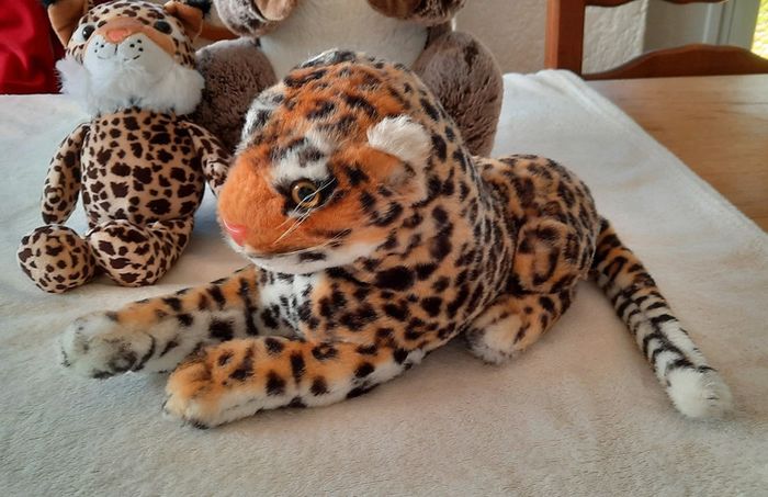 Peluche - photo numéro 5