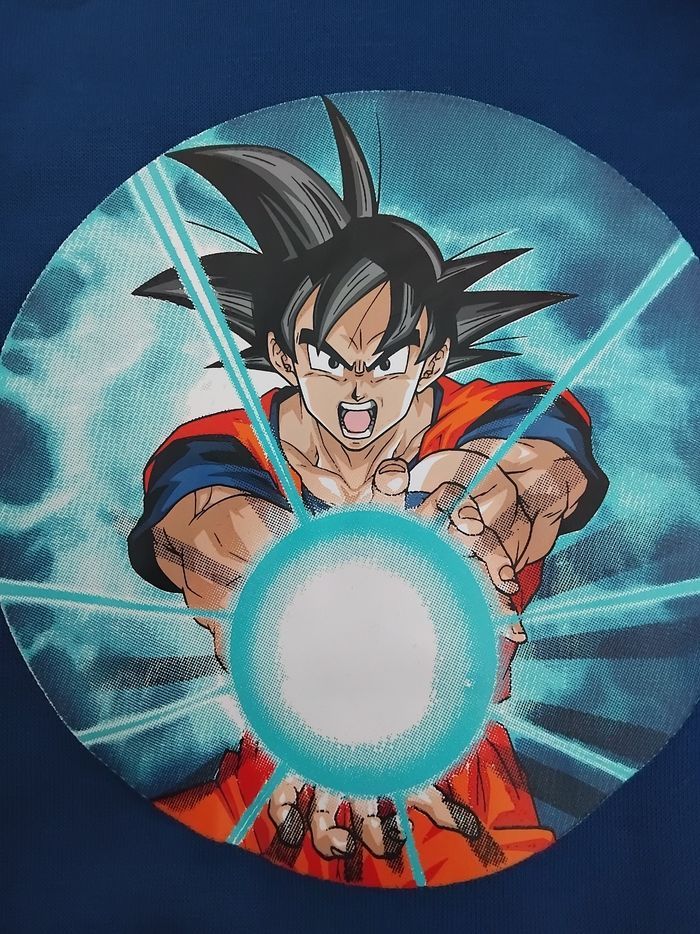 Sweat capuche garçon Dragon Ball, neuf, 4 ans - photo numéro 2