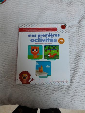 Livre activités manuelles