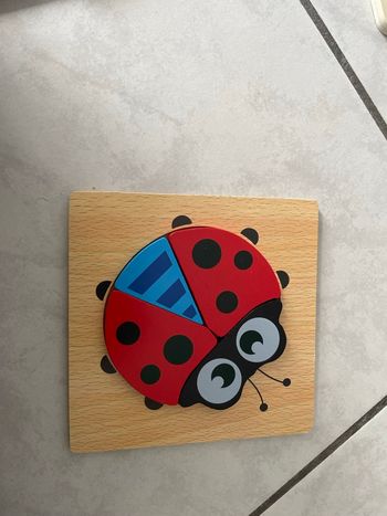 Puzzle coccinelle