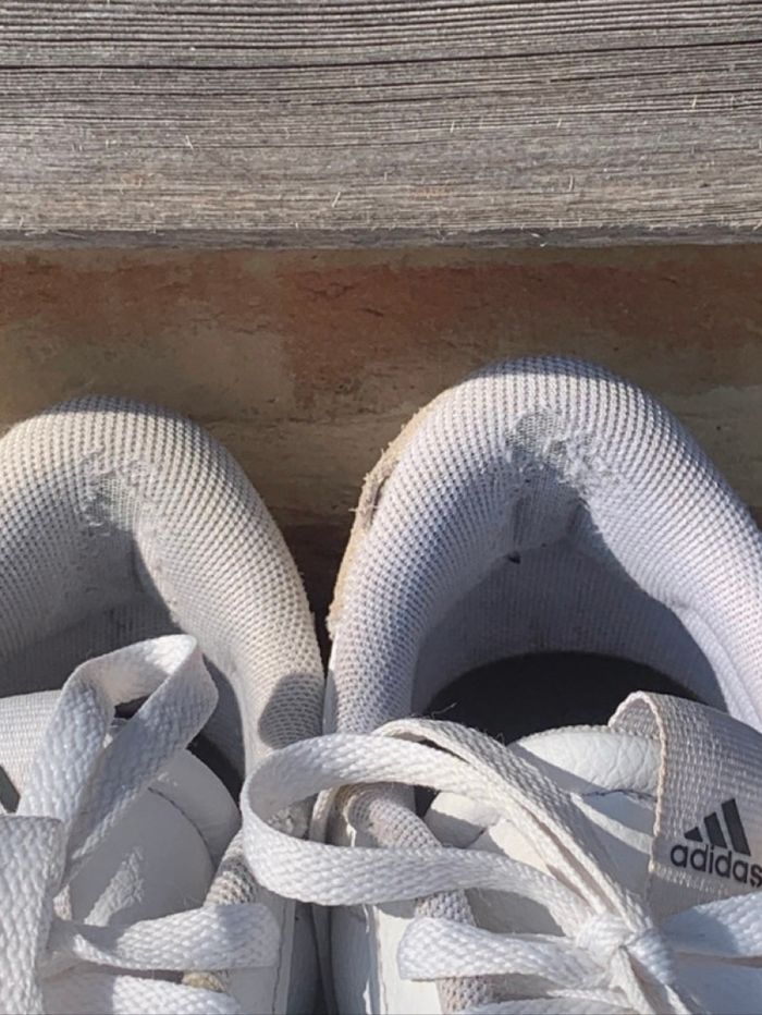 Jolies baskets Adidas femme - photo numéro 7