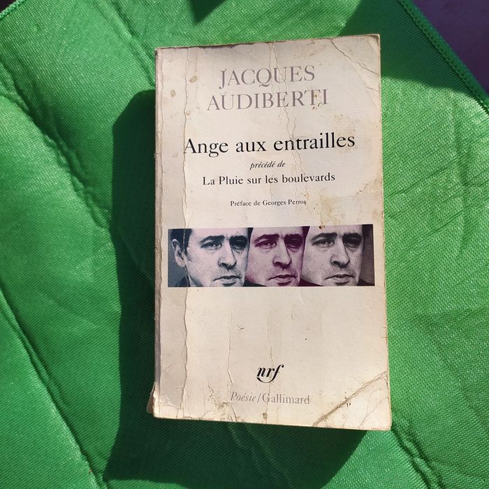 Lot de 4 livres de poésie - photo numéro 5