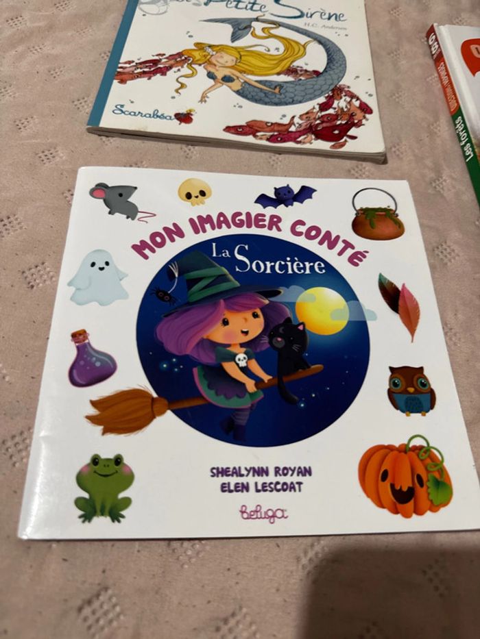 Lot deux livres pour enfant très bon état - photo numéro 3